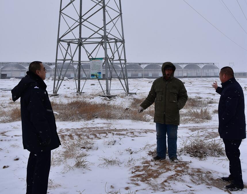 二連浩特供電公司：開展客戶側(cè)安全檢查，確?？诎犊蛻粝楹兔髁吝^春節(jié)