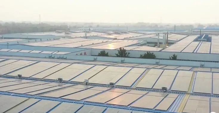 投資達9億！山東寒亭區(qū)447MW整縣分布式光伏項目正式啟動