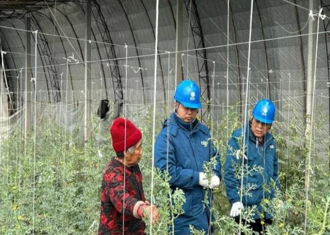 山東惠民供電公司：走訪種植大棚，優(yōu)化農(nóng)業(yè)營商環(huán)境