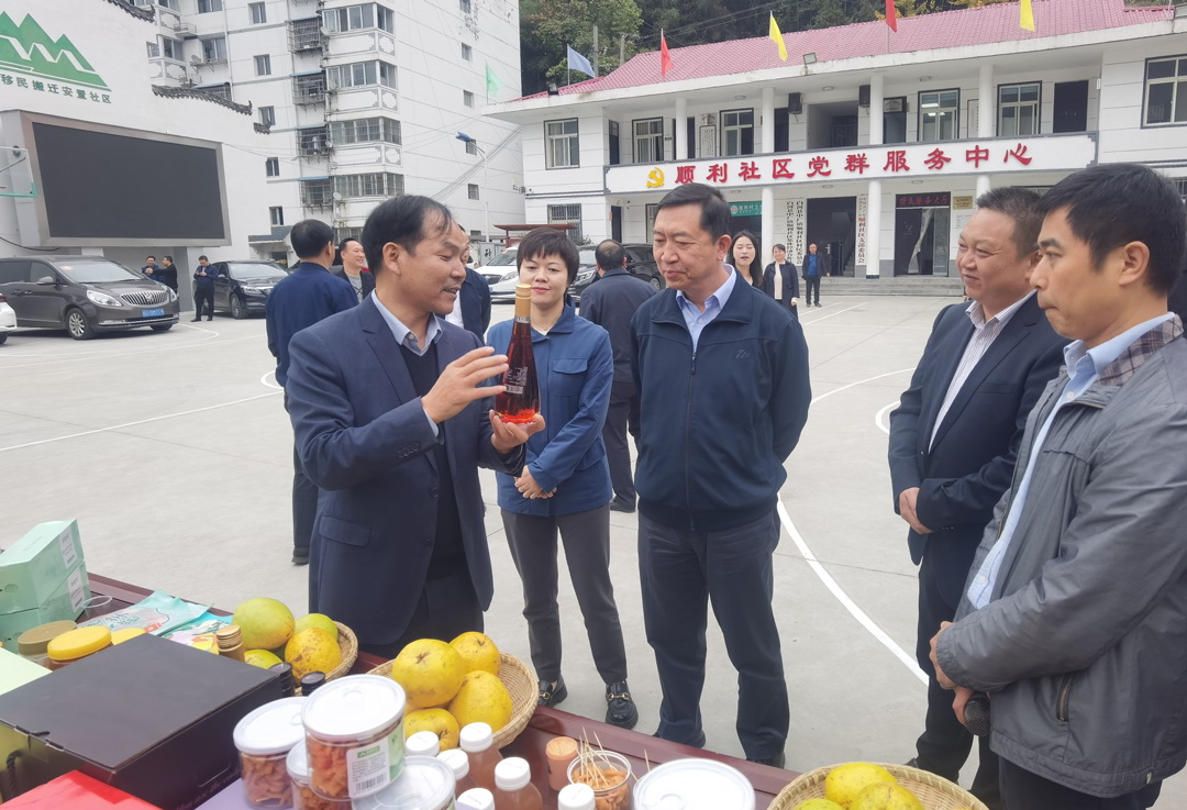 中核集團(tuán)總經(jīng)理、黨組副書記顧軍赴陜西白河、旬陽調(diào)研鄉(xiāng)村振興工作