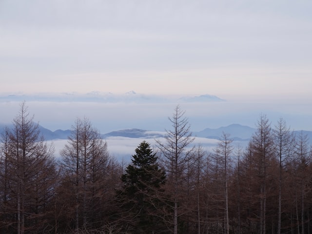 永兴县概况